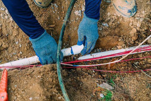 Gallery Brother Signs 1775498154 Jpg