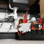 Gallery Brother Spring 1775497620 Jpg